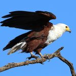 賀!鍾同學考取多益TOEIC855分!