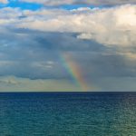 賀!白同學考取多益TOEIC840分!