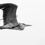 賀!林同學考取多益TOEIC800分!