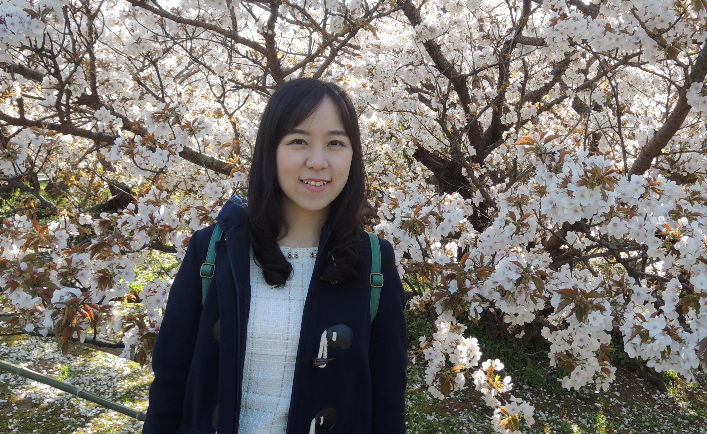 忙碌的上班族也能考到多益900分